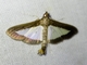Pearl Moth (Diaphania sp)