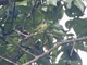 Image from 2026-04-21
