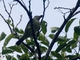 Image from 2026-04-21