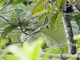 Image from 2026-04-21