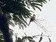 Image from 2026-04-21