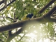 Image from 2026-04-22