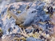 Image from 2026-04-24