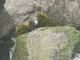 Image from 2026-04-24