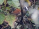 Image from 2026-04-25