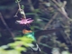 Image from 2026-04-25