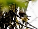 Image from 2026-04-27