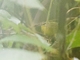 Image from 2026-04-27