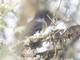 Image from 2026-04-28