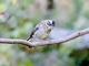 Image from 2026-05-04