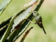 Image from 2026-05-04