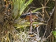 Image from 2026-05-04