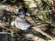 Image from 2026-05-05