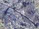 Image from 2026-05-06