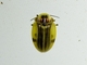 Image from 2026-05-06