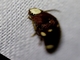 Image from 2026-05-06