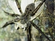 Image from 2026-05-06