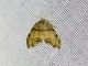 Image from 2026-05-06