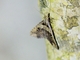 Image from 2026-05-06