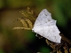Image from 2026-05-06