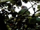 Image from 2026-05-07