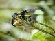 Image from 2026-05-07