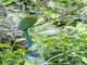Image from 2026-05-07