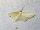 Image from 2026-05-07