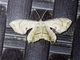 Image from 2026-05-07
