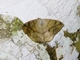 Image from 2026-05-07