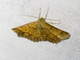 Image from 2026-05-07