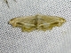 Image from 2026-05-07