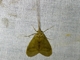 Image from 2026-05-07