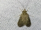 Image from 2026-05-07