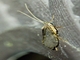 Image from 2026-05-07