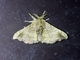 Image from 2026-05-07
