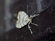 Image from 2026-05-07