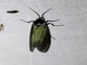 Image from 2026-05-07