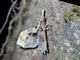 Image from 2026-05-07