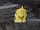 Image from 2026-05-07