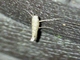 Image from 2026-05-07