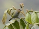 Image from 2026-05-08