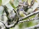 Image from 2026-05-08
