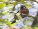 Image from 2026-05-08