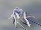 Image from 2026-05-08