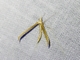Image from 2026-05-08