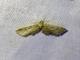 Image from 2026-05-08
