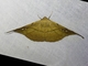 Image from 2026-05-08
