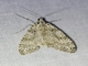 Image from 2026-05-08