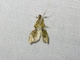Image from 2026-05-08